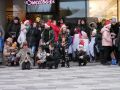 adventne koncerty v oc promenada