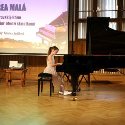 2024 14 koncert a vystava prac szus