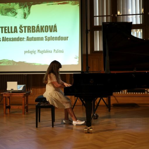 2024 06 14 koncert a vystava prac szus