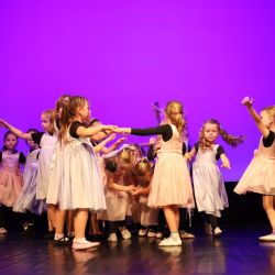 2025 06 19 tanecny koncert dab