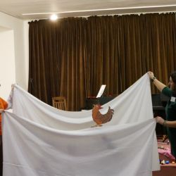 workshop o pedagogickej interpretacii
